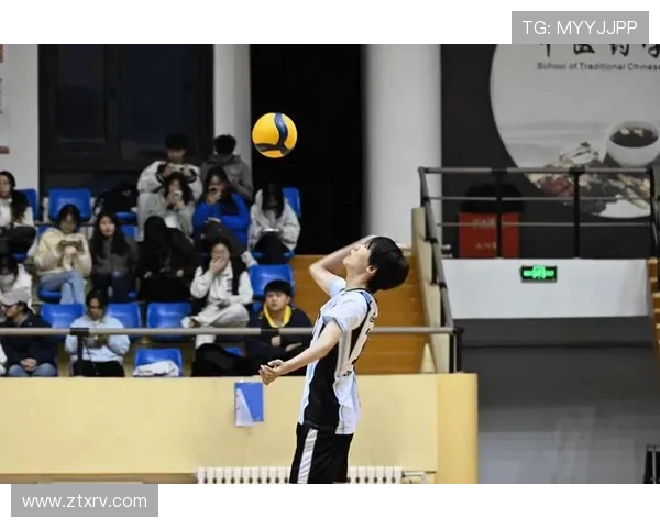 杭州排球队最新排球配合TOP10揭晓引领潮流助力竞技水平提升